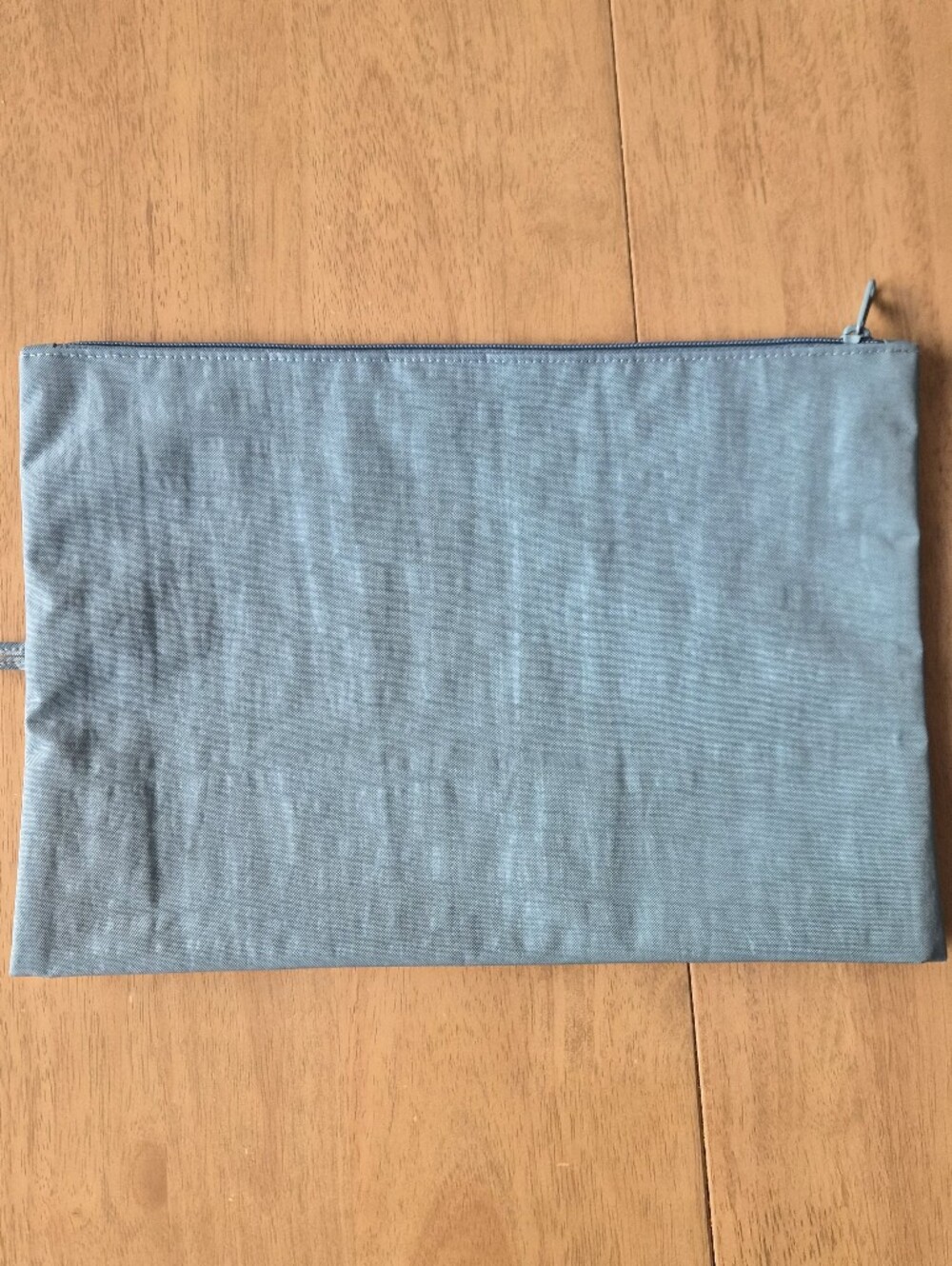 BAGGU Large Go Pouch In Peacock